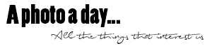 A photo a day...